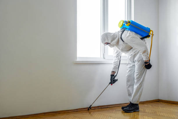Reliable Oakland, OR Pest Control Solutions