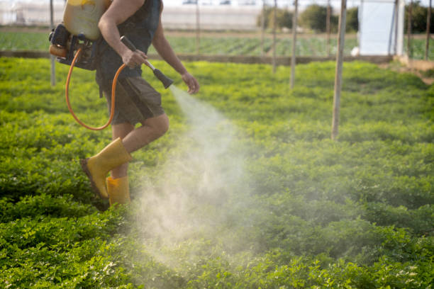 Best Ant Control Services  in Oakland, OR
