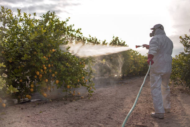 Best Local Pest Control Services  in Oakland, OR