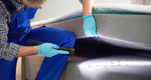 Best Residential Pest Control  in Oakland, OR