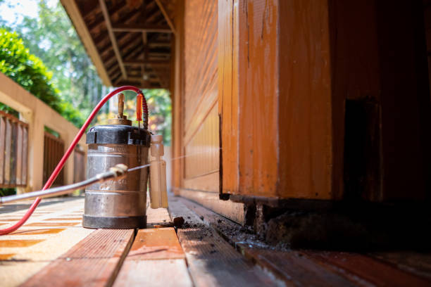 Wasp Removal Services in Oakland, OR