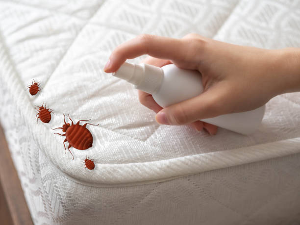 Best Residential Pest Control  in Oakland, OR