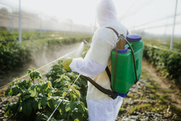 Best Pest Control Near Me  in Oakland, OR